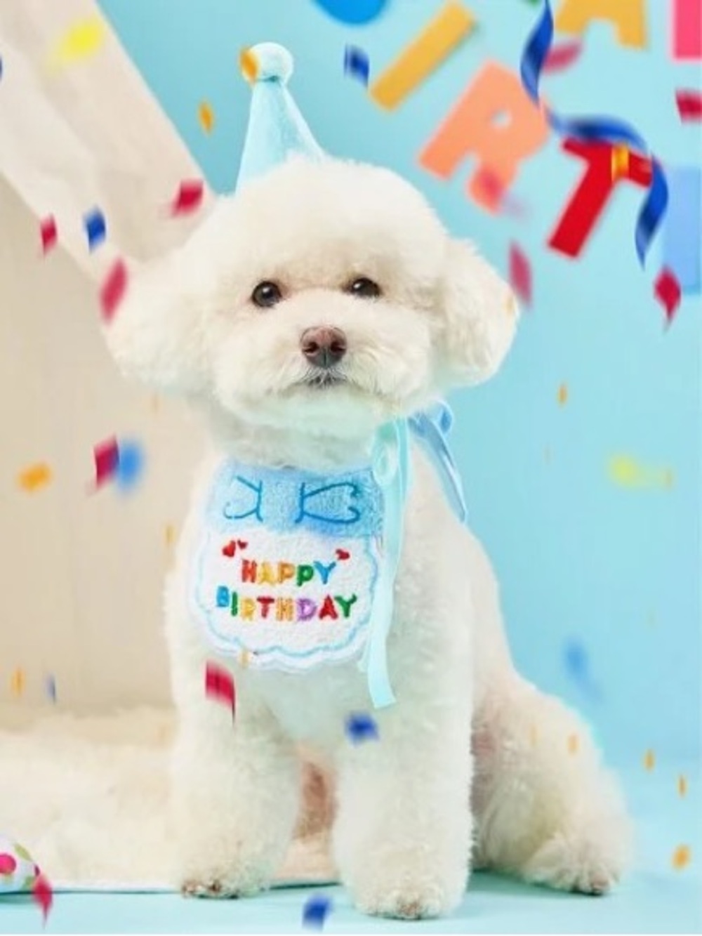 NWOT Pet Costume Birthday Set for Cat or Dog in Blue - 2pcs